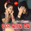 About Tume Labhe Achha Song